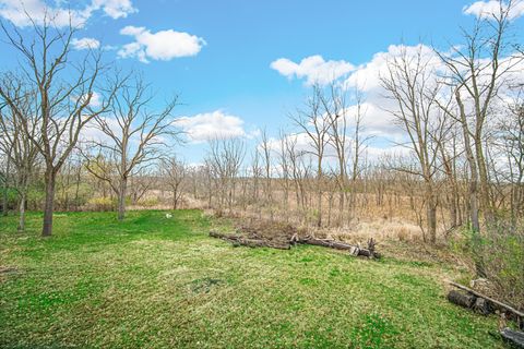 A home in Homer Glen