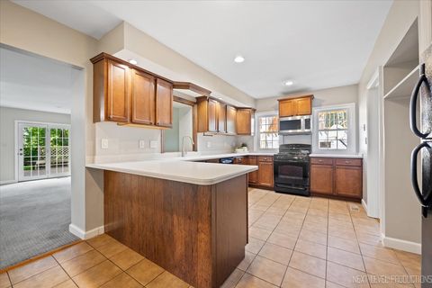 Tiny photo for 1222 James Street, Geneva, IL 60134 (MLS # 12459367)