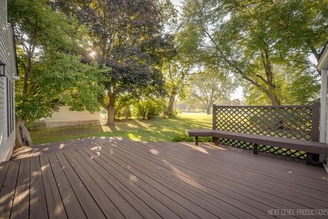 Tiny photo for 1222 James Street, Geneva, IL 60134 (MLS # 12459367)