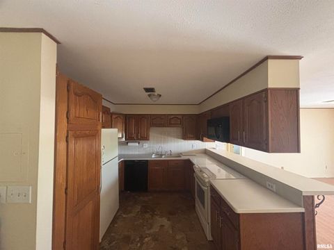 Tiny photo for 920 17TH Street, Moline, IL 61265 (MLS # QC4268686)