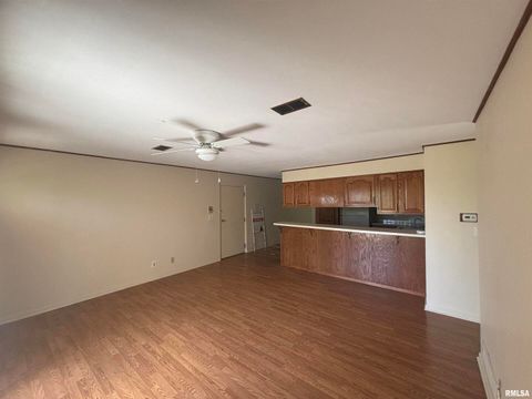 Tiny photo for 920 17TH Street, Moline, IL 61265 (MLS # QC4268686)