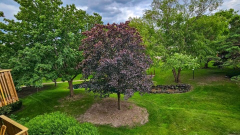 Tiny photo for 925 Spring Hill Drive #311, Northbrook, IL 60062 (MLS # 12758188)