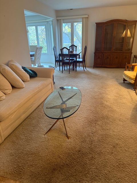 Tiny photo for 250 Lake Boulevard #218, Buffalo Grove, IL 60089 (MLS # 12509430)