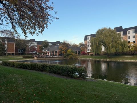 Tiny photo for 250 Lake Boulevard #218, Buffalo Grove, IL 60089 (MLS # 12509430)