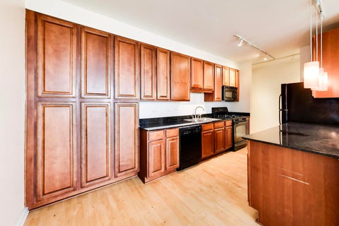 Tiny photo for 1255 S State Street #1502, Chicago, IL 60605 (MLS # 12747524)
