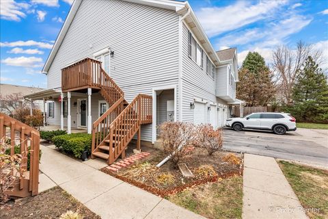 Tiny photo for 136 Village Creek Drive #136, Lake In The Hills, IL 60156 (MLS # 12254174)