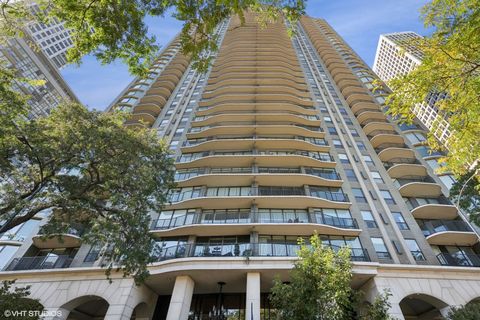 1040 N Lake Shore Drive 8B Chicago IL 60611