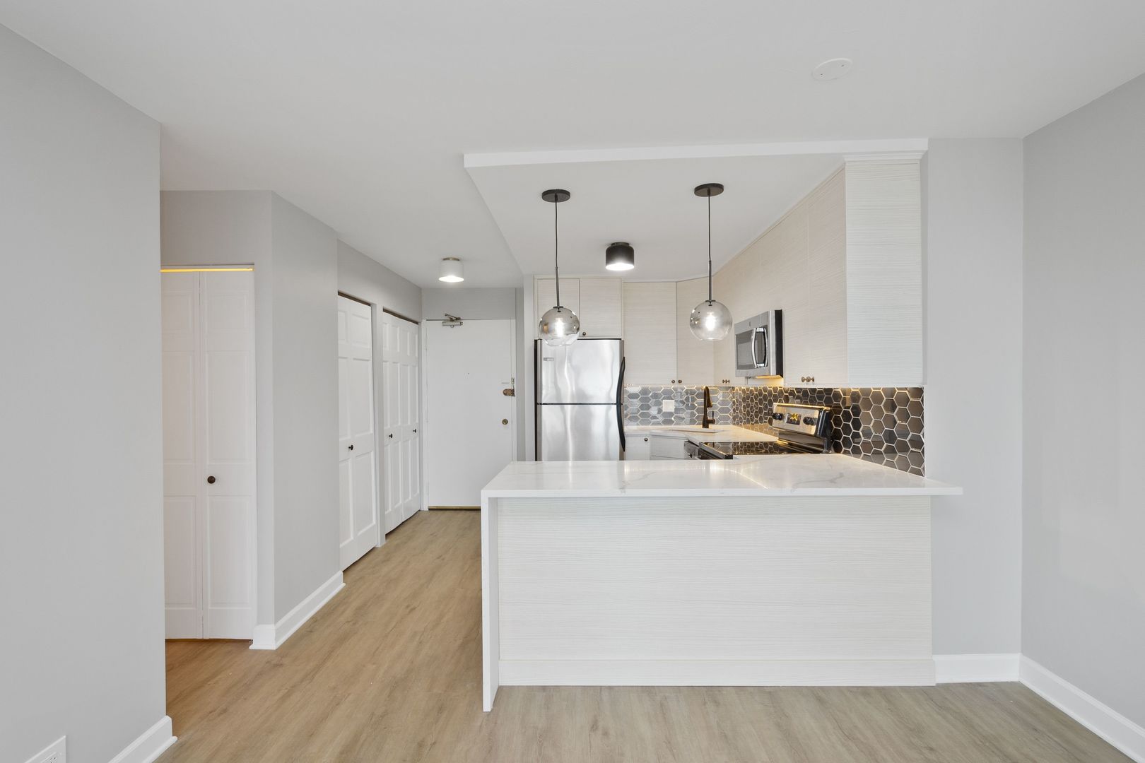 88 W Schiller Street 1107L