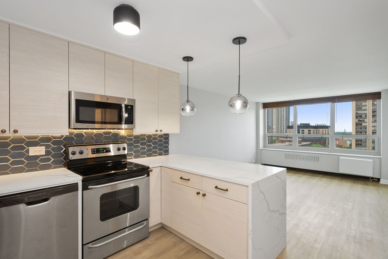 88 W Schiller Street 1107L