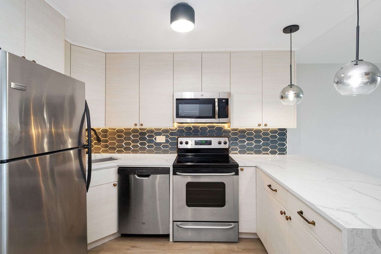 88 W Schiller Street 1107L