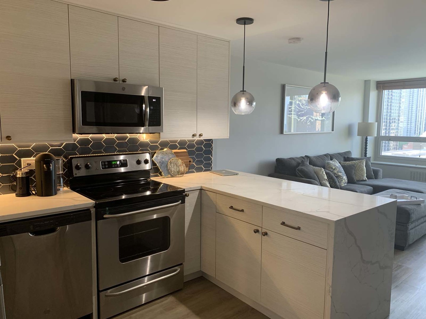 88 W Schiller Street 1107L