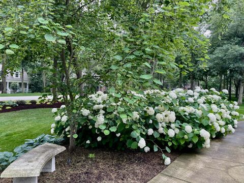 Tiny photo for 3763 Serenity Parkway, Kankakee, IL 60901 (MLS # 12574803)