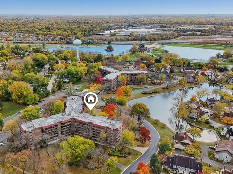 Photo of 35 S Baybrook Drive #114, Palatine, IL 60074 (MLS # 12509844)