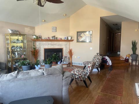 Tiny photo for Steger, IL 60475 (MLS # 12646533)