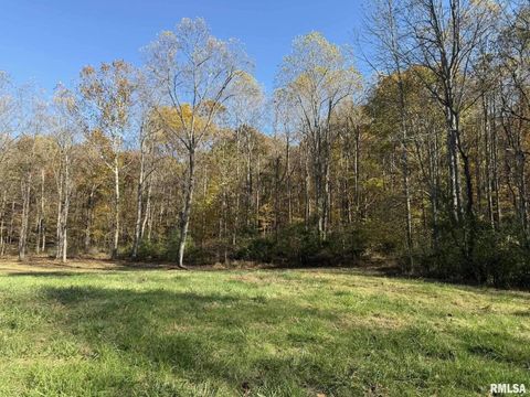 Tiny photo for 880 S Rocky Comfort Road, Makanda, IL 62958 (MLS # QC4269208)