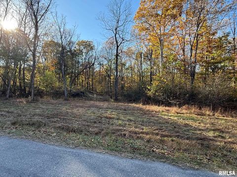 Tiny photo for 880 S Rocky Comfort Road, Makanda, IL 62958 (MLS # QC4269208)