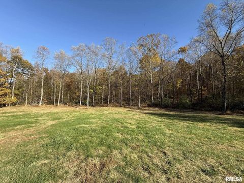 Tiny photo for 880 S Rocky Comfort Road, Makanda, IL 62958 (MLS # QC4269208)