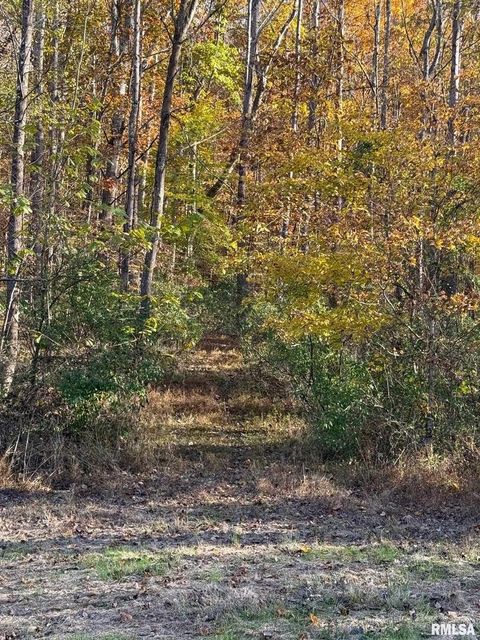 Tiny photo for 880 S Rocky Comfort Road, Makanda, IL 62958 (MLS # QC4269208)