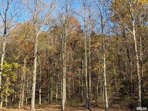 Tiny photo for 880 S Rocky Comfort Road, Makanda, IL 62958 (MLS # QC4269208)