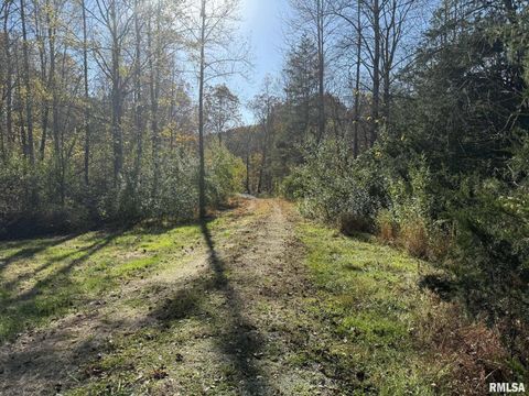 Tiny photo for 880 S Rocky Comfort Road, Makanda, IL 62958 (MLS # QC4269208)