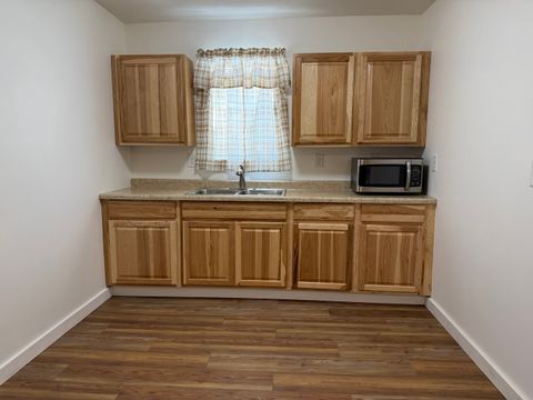 Tiny photo for 44 Lafayette Street, Saunemin, IL 61769 (MLS # 12530111)