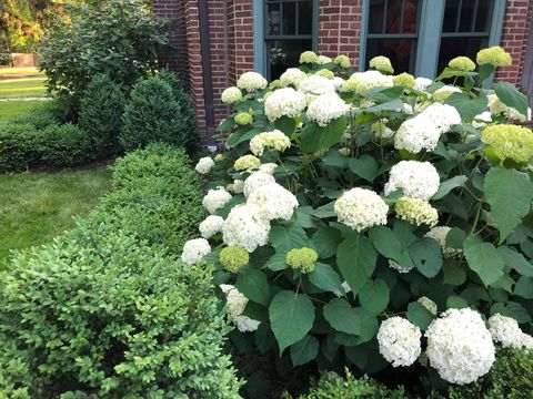 Tiny photo for 491 South Avenue, Glencoe, IL 60022 (MLS # 12605013)