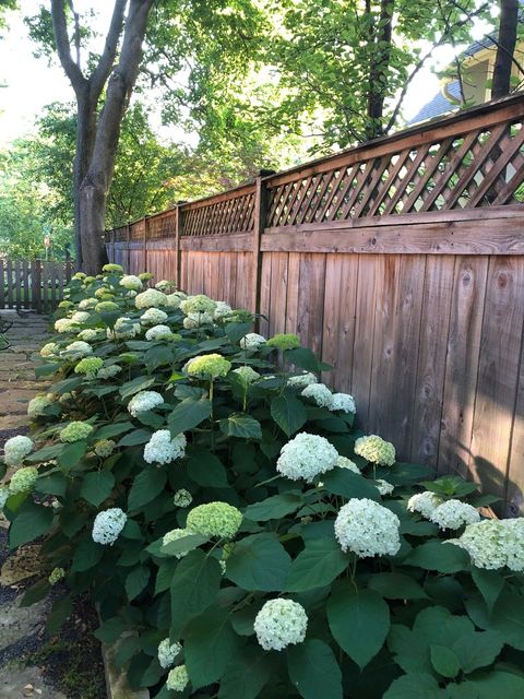 Tiny photo for 491 South Avenue, Glencoe, IL 60022 (MLS # 12605013)