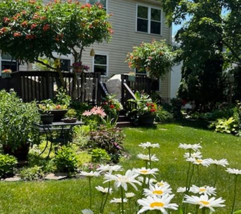 listing image 28