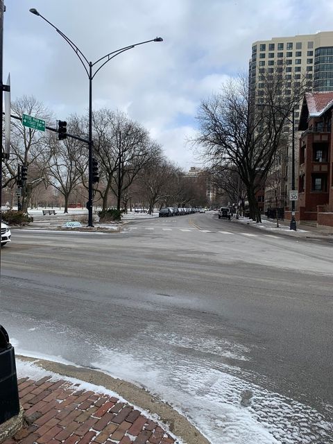 Tiny photo for 5050 S East End Avenue #1E, Chicago, IL 60615 (MLS # 12592977)