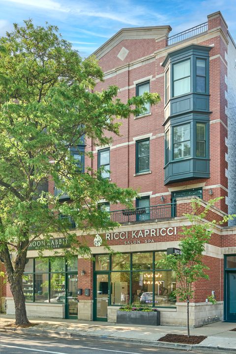 1020 W Armitage Avenue 3A Chicago IL 60614