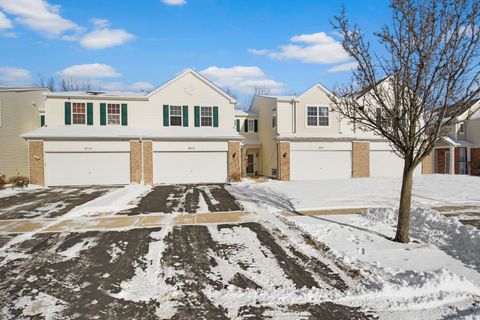 Tiny photo for 8513 Sawyer Court, Joliet, IL 60431 (MLS # 12547418)