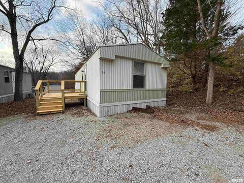 Tiny photo for 57 Timber Hollow Drive, Carbondale, IL 62901 (MLS # EB460804)