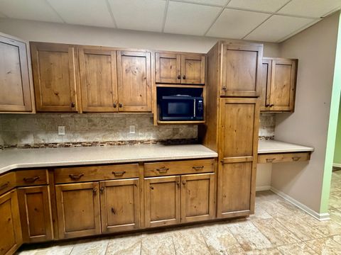 Tiny photo for 2123 North Avenue, Metropolis, IL 62960 (MLS # 12621317)