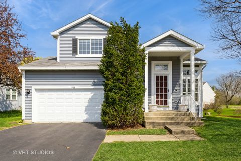1168 Halfmoon Gate Lake In The Hills IL 60156