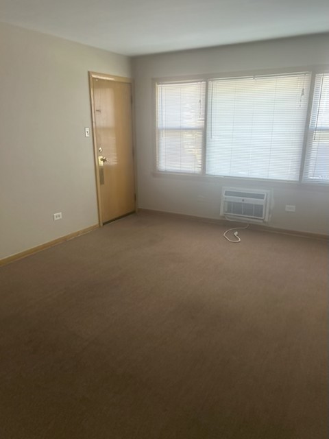 10100 S Pulaski Road 1E