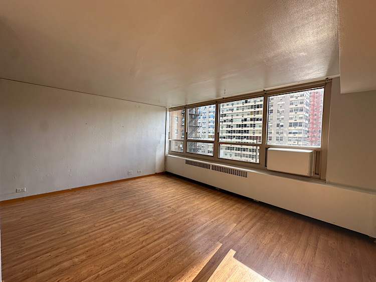 3950 N Lake Shore Drive 523D
