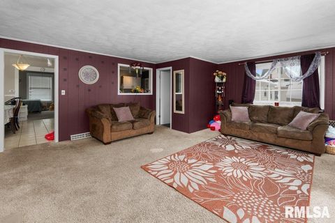 Tiny photo for 236 43RD Street, Moline, IL 61265 (MLS # QC4270035)