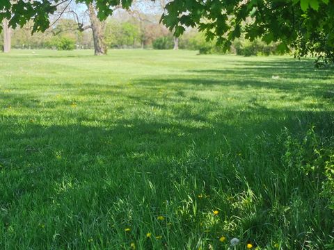 Tiny photo for 4135 N Pontiac Avenue, Chicago, IL 60634 (MLS # 12603423)