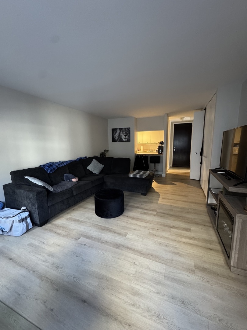535 N Michigan Avenue 414
