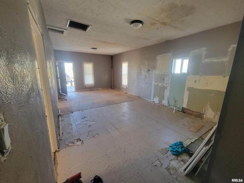 Tiny photo for 208 N WASHINGTON Street, Hurst, IL 62949 (MLS # EB460340)