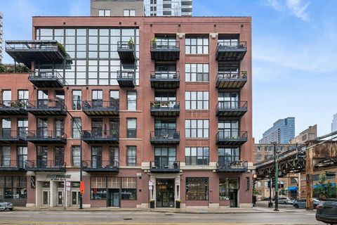 300 W Grand Avenue 312 Chicago IL 60654