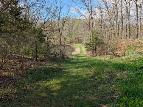 Tiny photo for Fairmount, IL 61841 (MLS # 12678047)