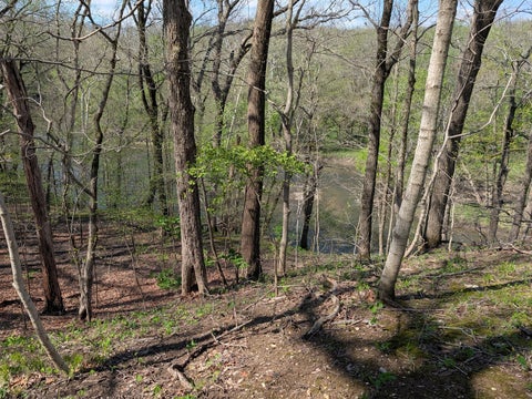 Tiny photo for Fairmount, IL 61841 (MLS # 12678047)