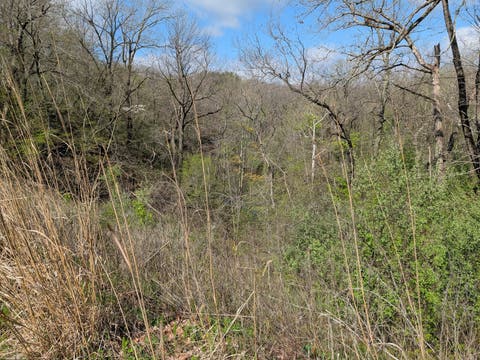 Tiny photo for Fairmount, IL 61841 (MLS # 12678047)
