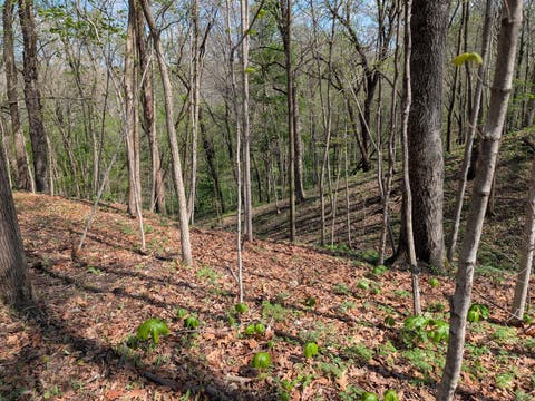 Tiny photo for Fairmount, IL 61841 (MLS # 12678047)