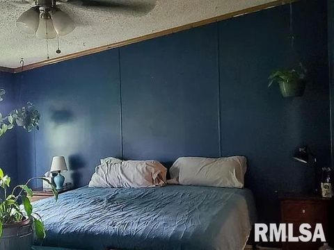 Tiny photo for 4295 Lick Creek Road, Buncombe, IL 62912 (MLS # QC4266931)