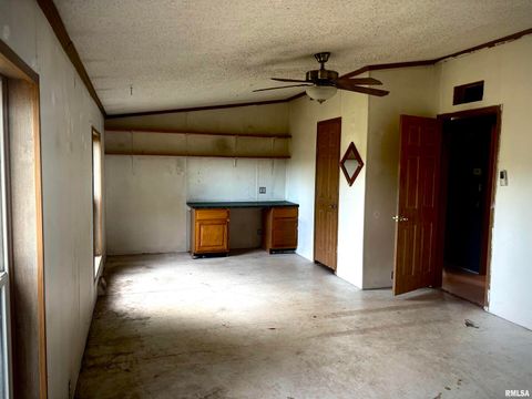 Tiny photo for 4295 Lick Creek Road, Buncombe, IL 62912 (MLS # QC4266931)