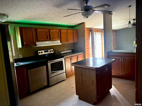 Tiny photo for 4295 Lick Creek Road, Buncombe, IL 62912 (MLS # QC4266931)