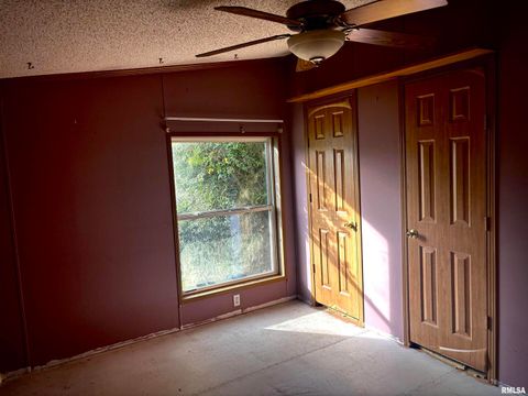 Tiny photo for 4295 Lick Creek Road, Buncombe, IL 62912 (MLS # QC4266931)