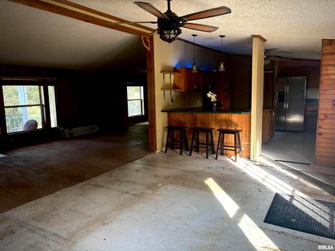 Tiny photo for 4295 Lick Creek Road, Buncombe, IL 62912 (MLS # QC4266931)